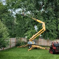 Best Commercial Tree Removal  in Stevens Point, WI